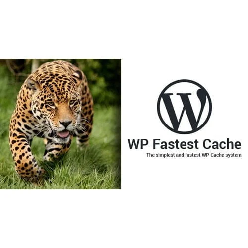 WP Fastest Cache WordPress Plugin