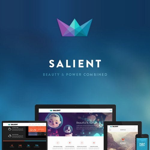 Salient – Responsive Multi-Purpose WordPress Theme