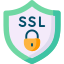 256-bit Encrypted SSL