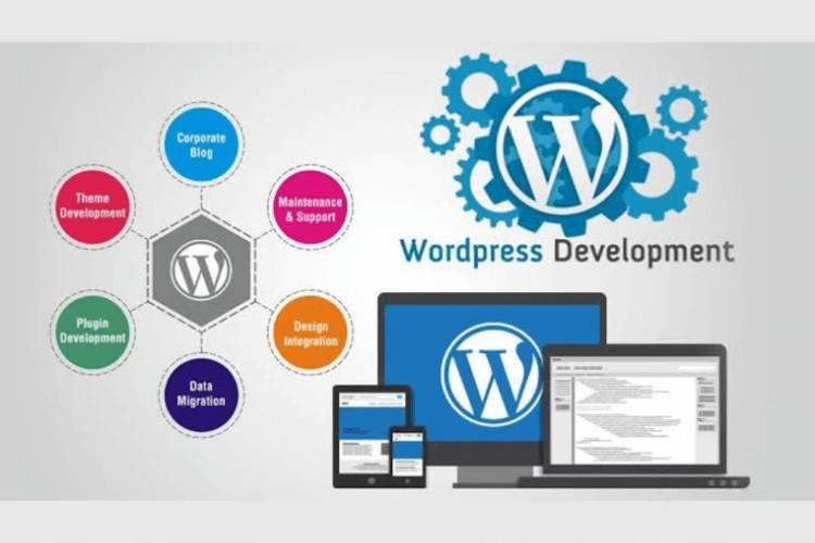 Overview of WordPress Website Development